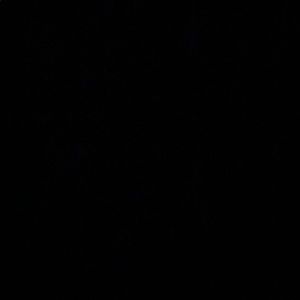 Meet your Posher, Alanys